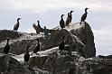 20080617_Lofoten 2008_1584_DxO_crop